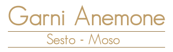 Garni Anemone - Bed&Breakfast in Sesto Moso